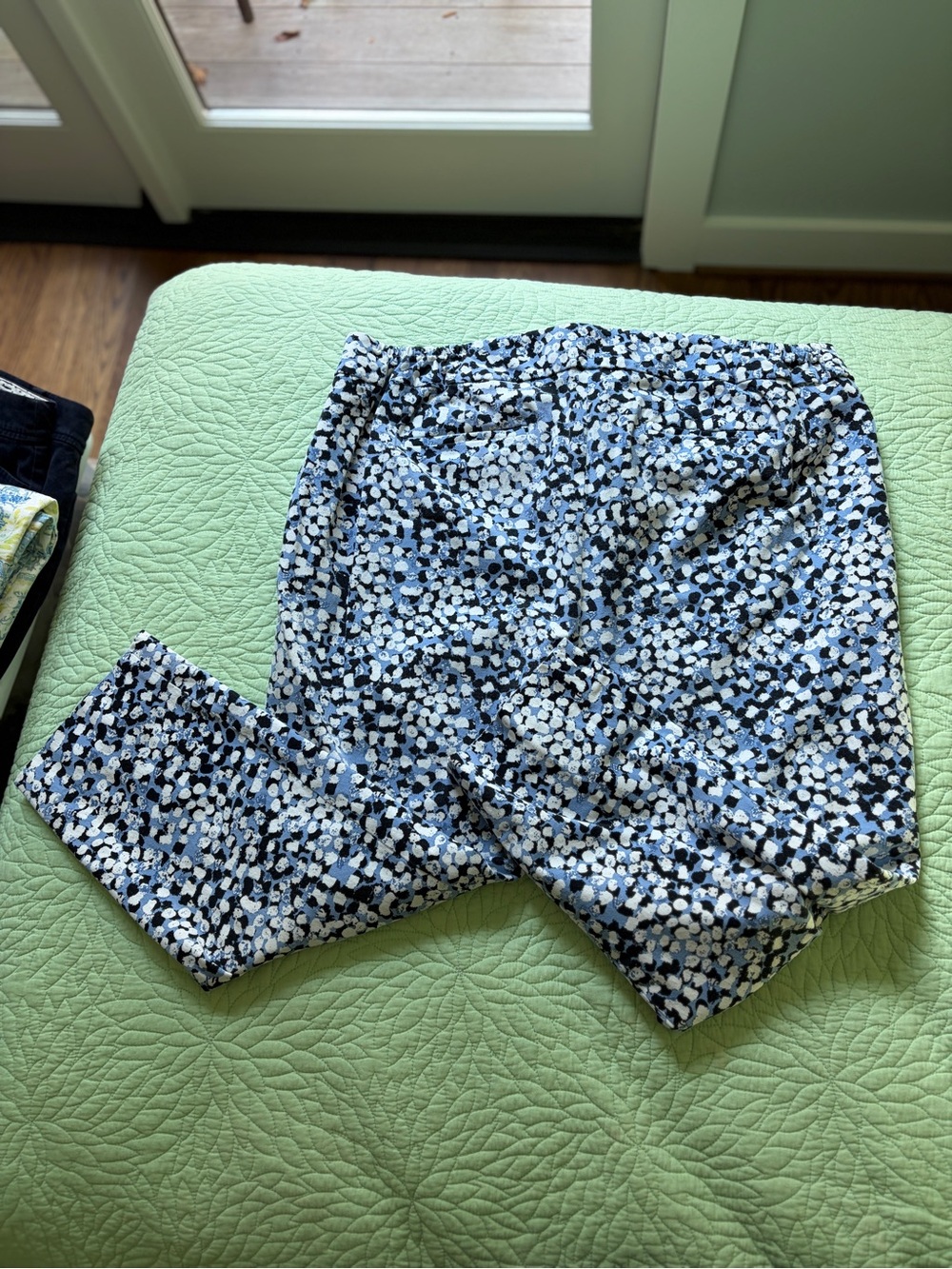 Talbots Blue and White Printed Men's Pants